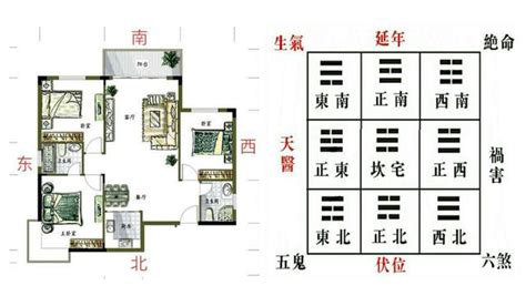 客厅的青龙位